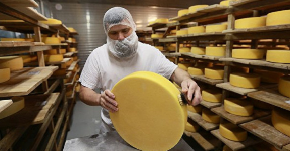 Компания «Терра-Фуд» запустить производство сыра под Москвой