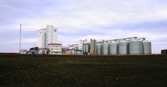 «Мираторг» вложит 4,8 млрд рублей в строительство завода